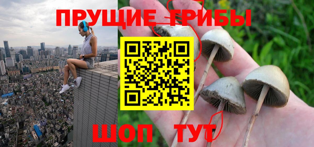 Псилоцибиновые грибы MAGIC MUSHROOMS  Вход с VPN  Минеральные Воды  Галлюциногенные грибы MAGIC MUSHROOMS 